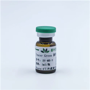Tracer Green 超聲微泡造影劑