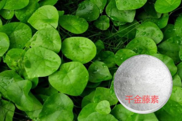 千金藤素