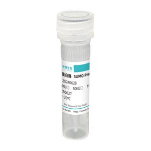 sumo蛋白酶 —高度特異性識(shí)別SUMO的三級(jí)結(jié)構(gòu)SUMO蛋白酶