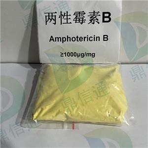 兩性霉素B  1397-89-3 現(xiàn)貨供應(yīng) 高純