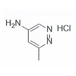 (1R,4R,5S)-5-氨基-2-氮雜雙環(huán)[2.1.1]己烷-2-羧酸叔丁酯草酸2940871-34-9鹽