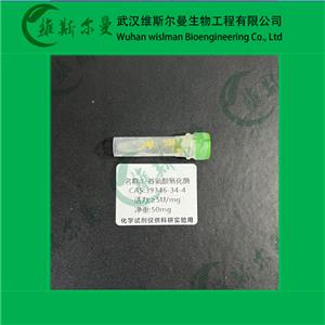 L-谷氨酸氧化酶-來(lái)源于鏈菌素-純度≥94%；活力≥8U/mg-精細(xì)化學(xué)試劑-找維斯?fàn)柭跞A
