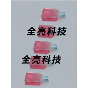 COLO 205 Cells人結(jié)腸癌細(xì)胞|送STR圖譜
