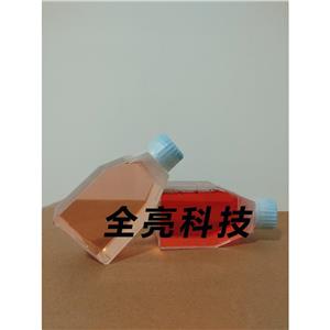 CFPAC-1 Cells人胰腺癌細(xì)胞|送STR圖譜