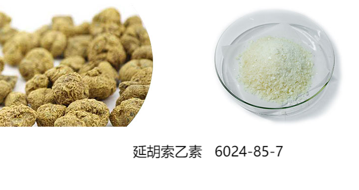 延胡索乙素