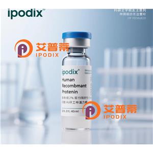 BAD抗體
