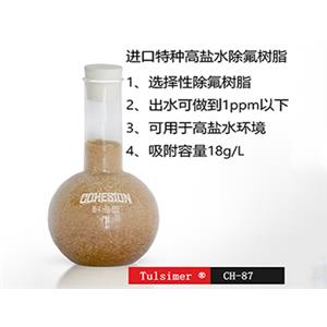半導(dǎo)體廢水除氟離子交換樹脂系統(tǒng)
