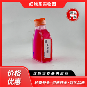 MS1（小鼠胰島內(nèi)皮細(xì)胞）