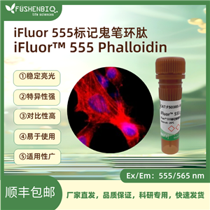 iFluor 555標(biāo)記鬼筆環(huán)肽