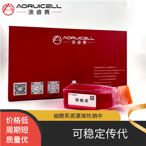 MOLM13（人急性髓原白血病細(xì)胞）