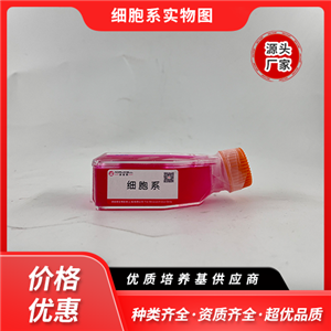 Anglne（人卵巢癌細(xì)胞）