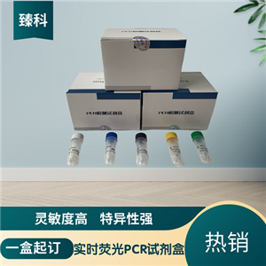 貓支原體（MF）核酸檢測試劑盒（熒光-PCR法）