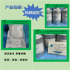 羧芐西林鈉-4800-94-6-效價(jià)≥820ug/mg-高純化學(xué)試劑-質(zhì)量保證-找維斯?fàn)柭跞A