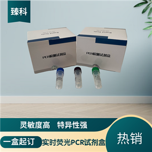 犬瘟熱病毒(CDV)核酸檢測試劑盒(熒光-PCR法)