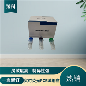 犬瘟熱病毒(CDV)PCR檢測試劑盒