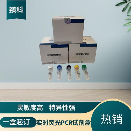 P43.png P43.png