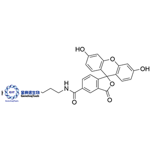 2183440-41-5 (hydrochloride) | FAM amine, 5-isomer