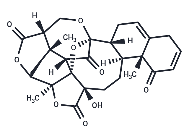 酸漿苦味B