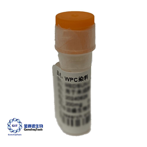 未成熟細(xì)胞染料 | WPC DYE