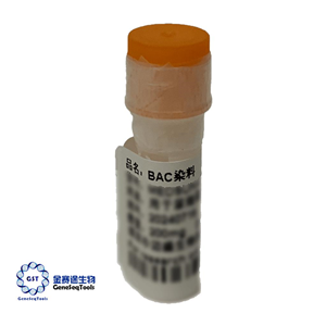 尿細(xì)菌染色染料 | BAC DYE
