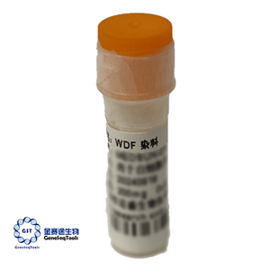白細(xì)胞分類計數(shù)染料 | WDF DYE