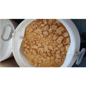 孕酮； 黃體素； 黃體酮