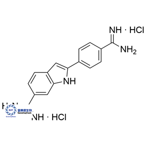 28718-90-3 | 4',6-Diamidino-2-phenylindole Dihydrochloride;DAPI 4',6-二脒基-2-苯基吲哚二鹽酸鹽