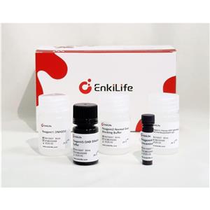 Polymer-HRP Anti-Mouse/Rabbit IHC 檢測試劑盒(DAB系統(tǒng)）