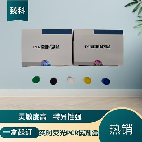 P18.png P18.png