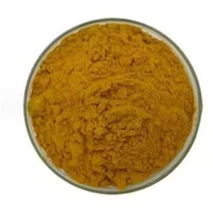 綠茶提取物，茶多酚50%，98%