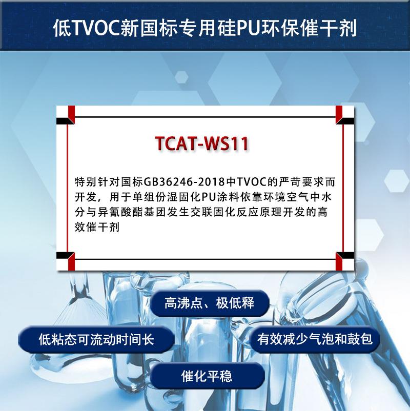 WCAT-WS11詳1.jpg
