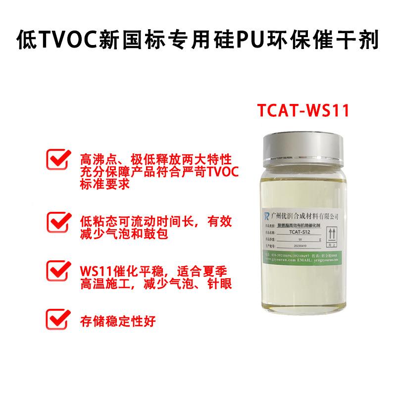 WCAT-WS11詳2.jpg