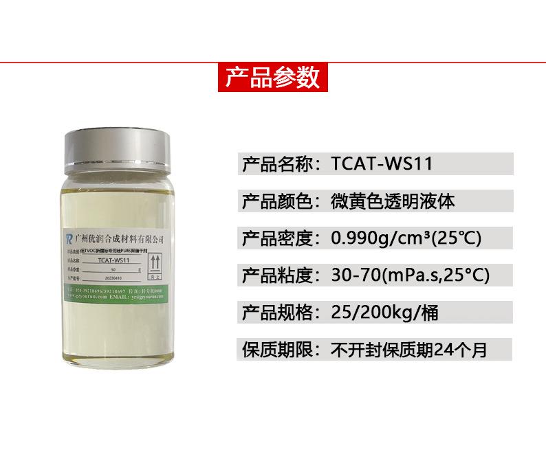WCAT-WS11詳3.jpg