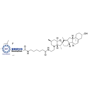 334658-24-1 | BODIPY-Cyclopamine BODIPY-環(huán)巴胺