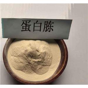 BIOTECNICA  胰酪蛋白胨 91079-83-3