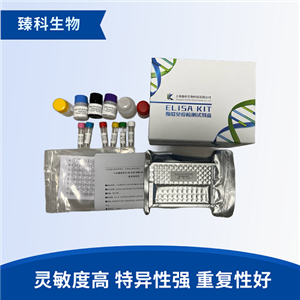 人11去氫血栓烷B2(11-DH-TXB2）elisa試劑盒