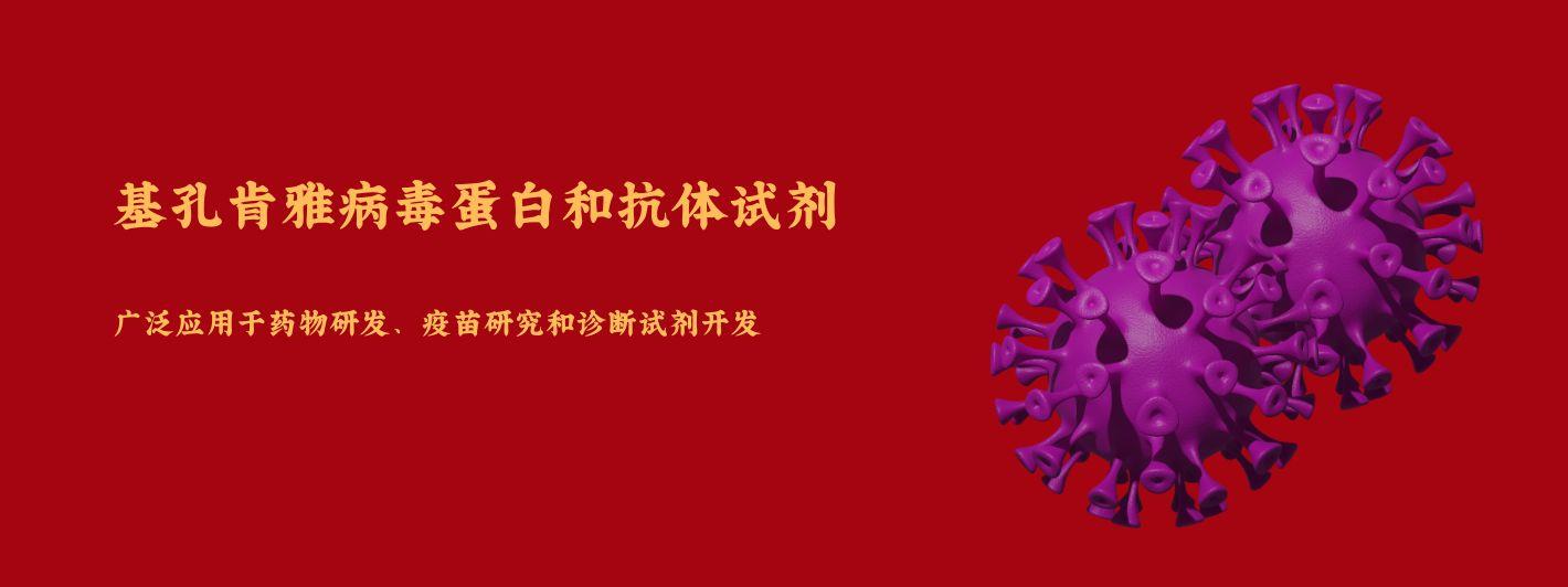 基孔肯雅病毒抗原和抗體試劑.jpg