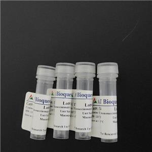 ROS Brite 活性氧熒光探針570