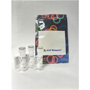 ROS Brite 活性氧熒光探針HPF
