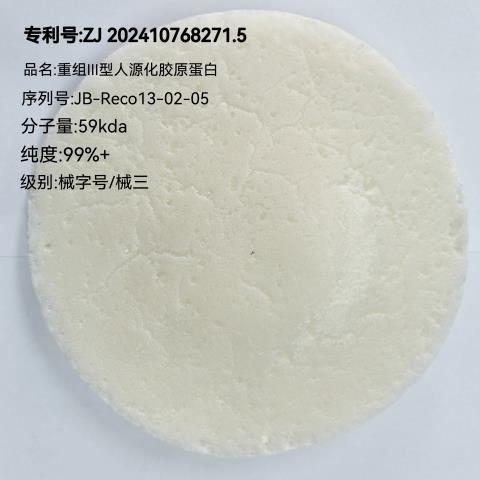三型（螺旋結(jié)構(gòu)）械三1.png