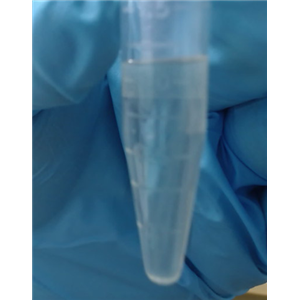 2-甲基-3-(甲基二硫代)呋喃  65505-17-1 香精香料
