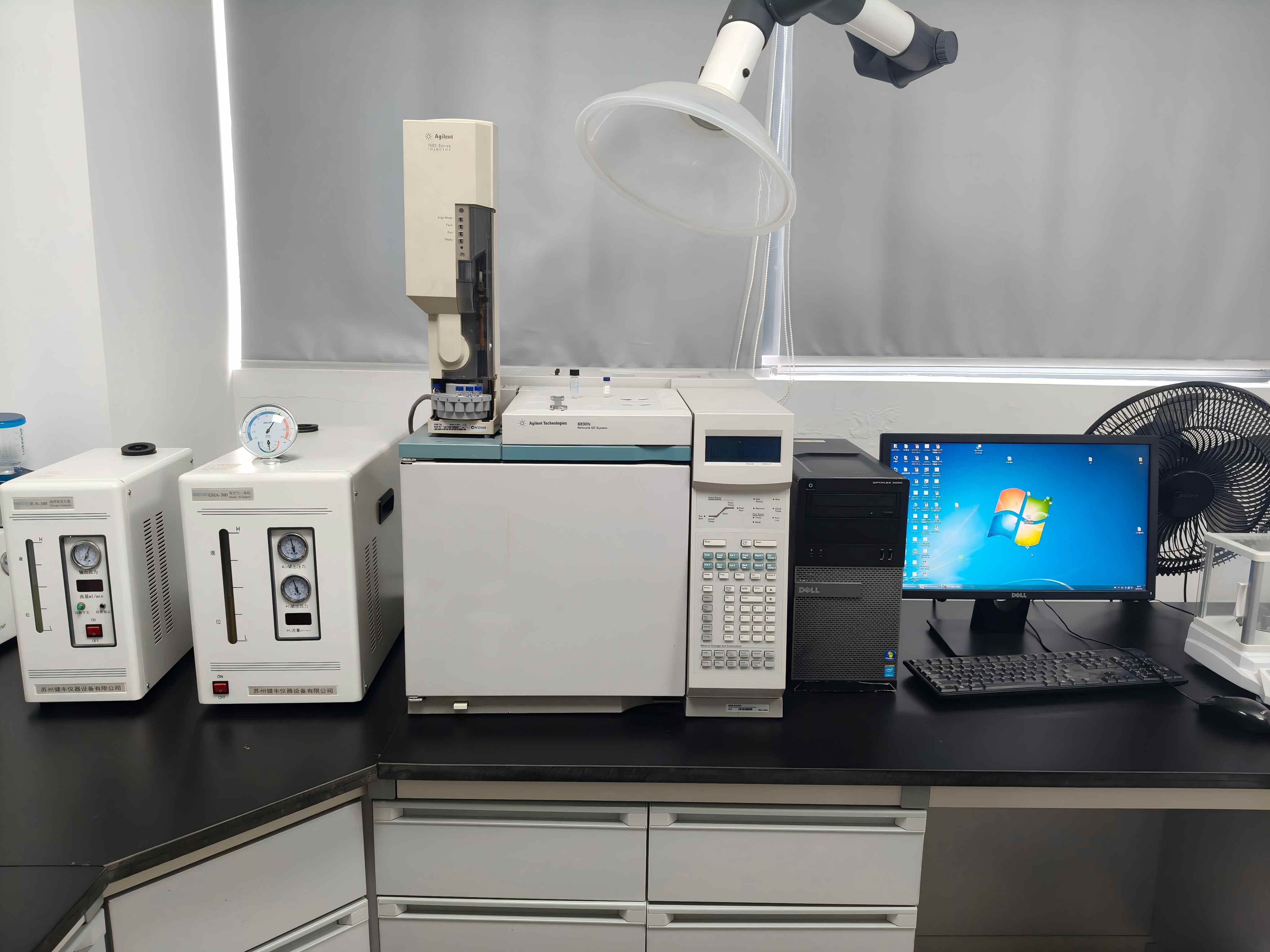 lab